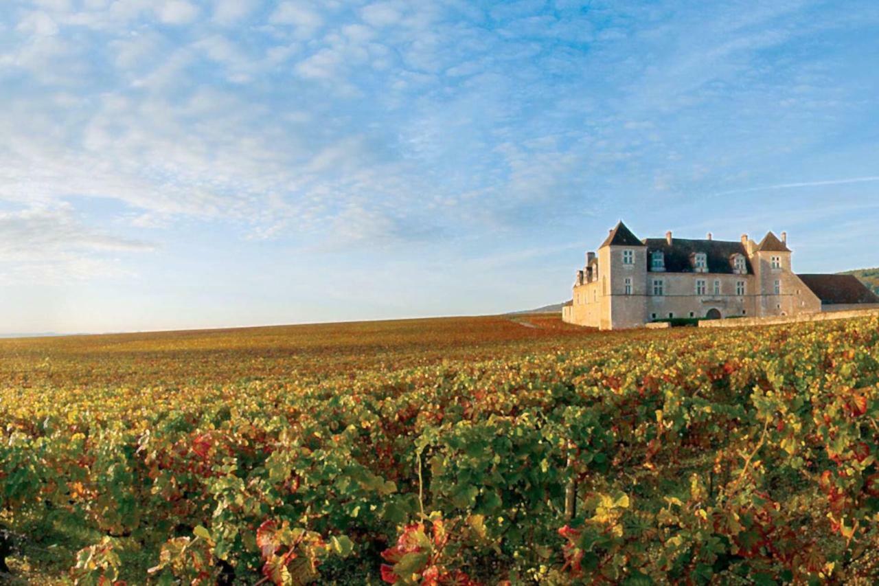 Gite Bons Amis Dijon Buitenkant foto